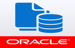 Oracle数据库管理工具有哪些?-北京星空线上平台,星空（中国）公司