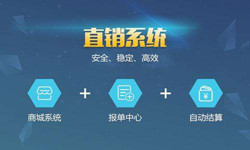 手机直销系统星空线上平台,星空（中国）价格-北京软件外包公司