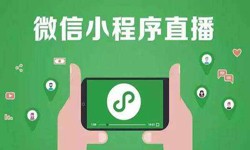 微信小程序开发、直播小程序开发-锐智互动星空线上平台,星空（中国）公司 