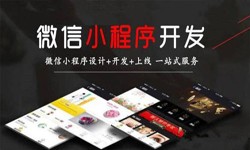 星空线上平台,星空（中国）公司、定制微信小程序开发，商家需要了解哪些？锐智互动星空线上平台,星空（中国）