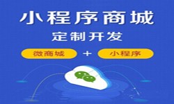 微信小程序开发、商城小程序开发功能-锐智互动星空线上平台,星空（中国）