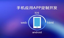 APP开发市场上常见问题分析-北京星空线上平台,星空（中国）公司